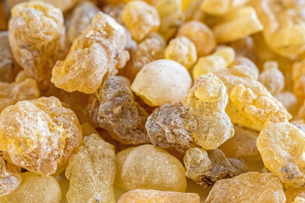 Frankincense for LAST Skin Repair Serum, the most recommended serum of all times